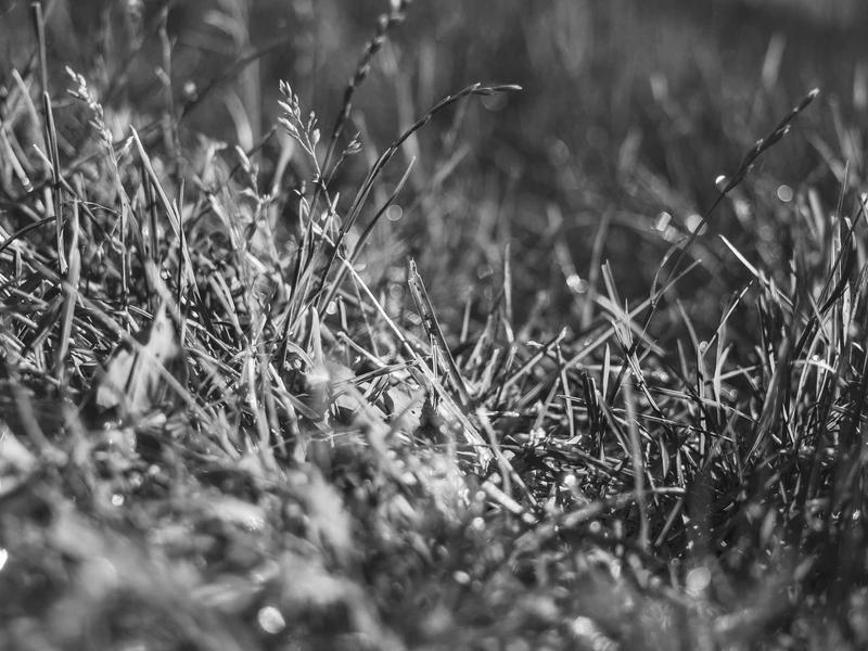 sudoku nature theme screenshot 3