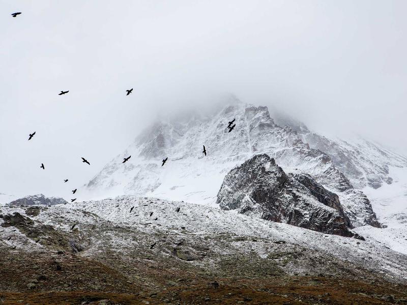 sudoku nature theme screenshot 6